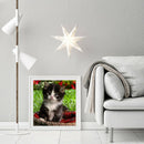 5D DIY Full Drill Diamond Painting Lovely Cat Cross Stitch Embroidery Kit