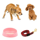 Durable Nylon Rope Dog Puppy Pet Training Leash with Clip for Collar Harness+Cat