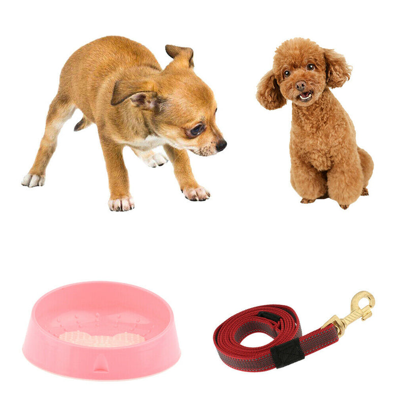 Durable Nylon Rope Dog Puppy Pet Training Leash with Clip for Collar Harness+Cat