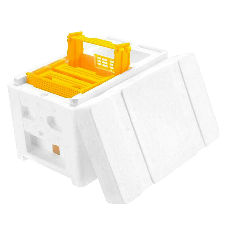 Portable Light Foam Beehive Box Beekeeping Equipment Beekeeping Bee Queen