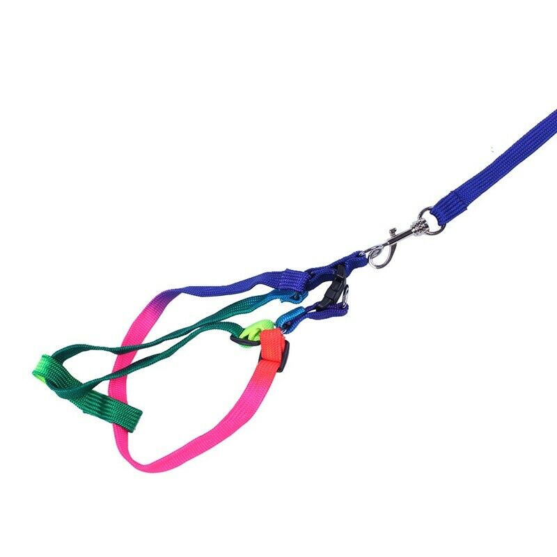 Adjustable Pet Dog Puppy Rainbow Harness Lead Leash Cat Rabbit Kitten Colla