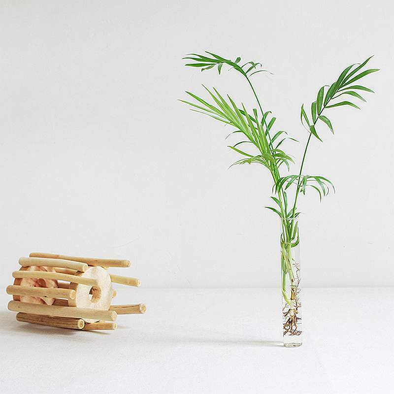 1 Set Glass Vase Tube Shape Clear Flower Bottle With Wooden Shelf Wood Stan K6K6