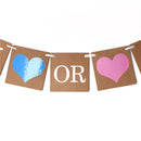 Boy Or Girl Baby Shower Party Hanging Garland Gender Reveal Bunting Banner FT