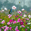 50 Pieces Garden Stake Butterfly Metal Decor Art Outdoor Pot Home DIY Craft 12