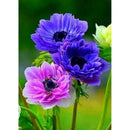 5D DIY Full Round Drill Diamond Painting Purple Pink Flower Cross Art Craft