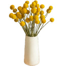20Pcs Golden Ball Dried Flower Bouquet DIY Home Wedding Party Floral Decoration