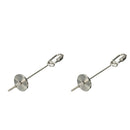 2Pieces Birds Fruit Fork Feeder Cage Accessories for Birds Chicken Finches