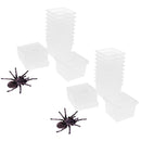 20 Pcs Plastic Feeding Box Pet Insect Reptile Breeding Cage Hatching Container