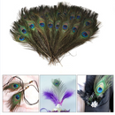 10PCS Craft Natural Peacock Tail Eyes Feathers 8-12 Inches long for Bouquet