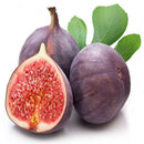 30pcs Fig Tree Seeds Greek Honey Fig Amazing Variety Exotic Delicious Fruit SP