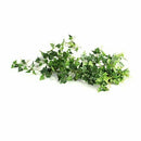 Artificial Ivy Garland Wedding Decor Decoration Ornament Q6A4