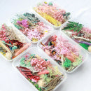 1Box Real Dried Leaf Flowers Plant Herbarium Jewelry Craft Home Decor newly