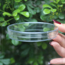 Clear Plastic Petri Dishes with Lids, Sterile, 90mm