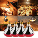 4Pcs 250W 220V E27 Basking Heat Lamp Bulb for Reptiles Goose Poultry Pig
