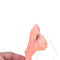 Carnival Halloween Holiday & Wicked Witch Nose Halloween Costume Accessory OZ