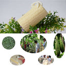 1X Natural Loofah Luffa Loofa Sponge Bath Shower Spa and Body Scrubber B Gn