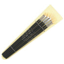 2X(6Pcs/Set,Oil Painting Brush Bristle Hair Artist Painting Art Supplies Br