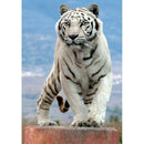 5D DIY Full Drill Diamond Painting Tiger Embroidery Mosaic Craft Kit (W585)