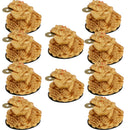 10 Pieces Feng Shui Money Frog Lucky Frog Lucky Charm Lucky Frog Toad Coin