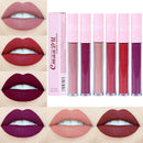 CmaaDu New 6 Color Natural Moisturizing Lipstick Matte Pink Tube Non-stick