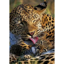 5D DIY Full Drill Diamond Painting Animal Tiger Cross Stitch Kits (K514)