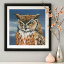 Gloryart 5D DIY Full Drill Diamond Painting Owl Embroidery Crafts (lw013)