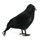 1pc Realistic Raven Movie Prop Halloween Decoration Birds Black Feathered Crows