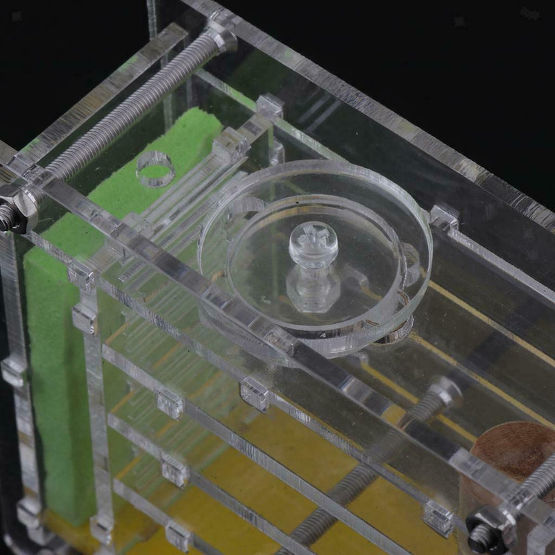 Clear Ant Feeding Nursery Box Ant Farm House Castle For Insect Ant Reptile B