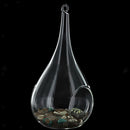 Taper Hanging Glass Flowers Planter Vase Terrarium Container Home DIY Decor