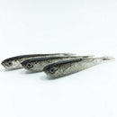 10PCS 75mm 2.2gram Soft Fishing Lure Swimbait Artificial Bait Tackle