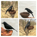 2x Artificial Realistic Birds Black Crows for Garden Halloween Decoration