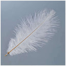 10 Pieces White Natural Ostrich Feather 20-25cm Wedding DIY R6E3