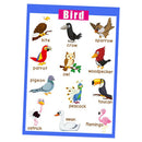 Birds &Nature~Kindergarten Classrooms Early Learning Posters Chart