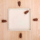 Dog Cat Interactive Electronic Cockroach Intelligence Training Pet Activity Q3Q4