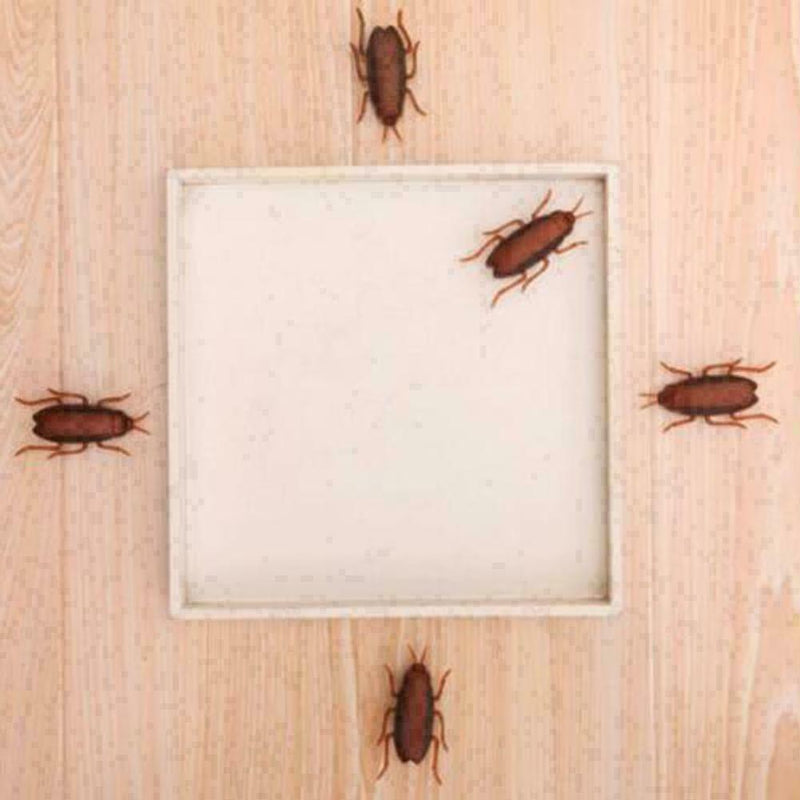 Dog Cat Interactive Electronic Cockroach Intelligence Training Pet Activity Q3Q4