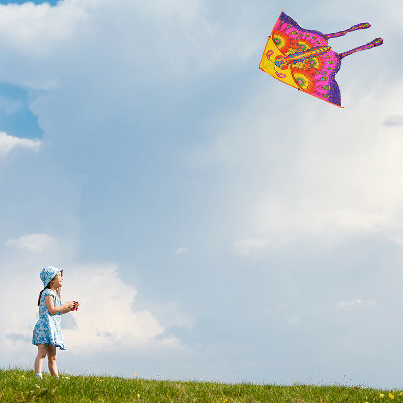 Stunt Kite Little butterfly Delta Outdoor Fun Sports Children Toys  Pro AU