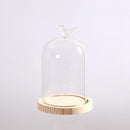 Glass Display Cloche Bell Jar Dome Flower Immortal Preservation Vase Bird