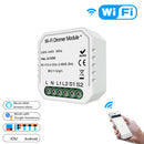 2 Gang DIY WiFi Smart 2 Way Light LED Dimmer Module Switch Smart Life/Tuya  C6K1