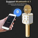 Creative Wireless Bluetooth KARAOKE Microphone Holiday Gift Pretty