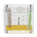 Clear Ant Feeding Nursery Box Ant Farm House Castle For Insect Ant Reptile B