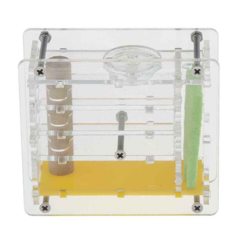 Clear Ant Feeding Nursery Box Ant Farm House Castle For Insect Ant Reptile B