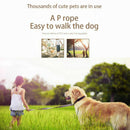 Sturdy Pet Collar Rope Nylon Dog Slip Training Walking Lead With P Chain 1c