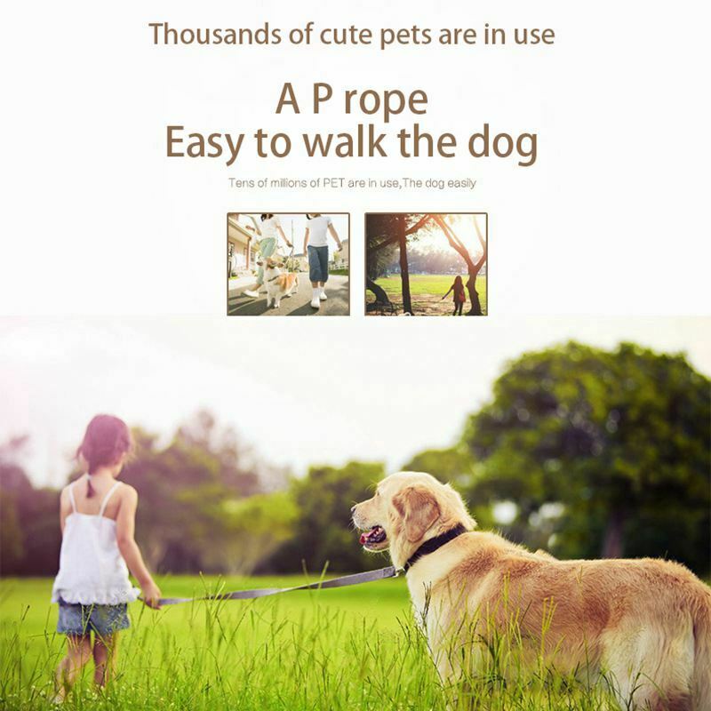 Sturdy Pet Collar Rope Nylon Dog Slip Training Walking Lead With P Chain 1c