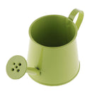 Pastoral Style Colorful Metal Tin Flower Pot Mini Bonsai Watering Can Green