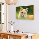 Full Drill Animal Diamond Painting Mosaic Rhinestone Handwork (LD479 Dog)