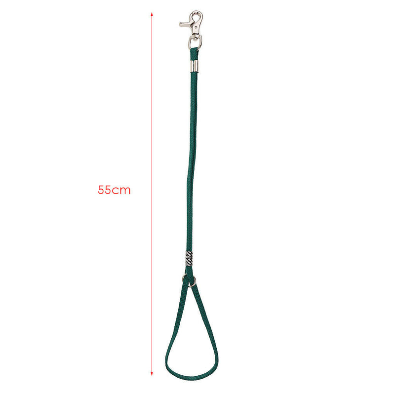 Durable Polypropylene Fiber No-Sit Pet Haunch