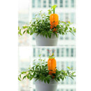 Automatic Watering Device, Carrot Design, Plant Waterer, Slow Release Drip, Self