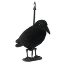 Garden Flocked Hard Plastic jet black Crow Decoy Hunting Stand Body Feet St