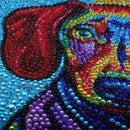 Full Special Shaped Crystal Diamond Rhinestones Diamond Embroidery Colorful