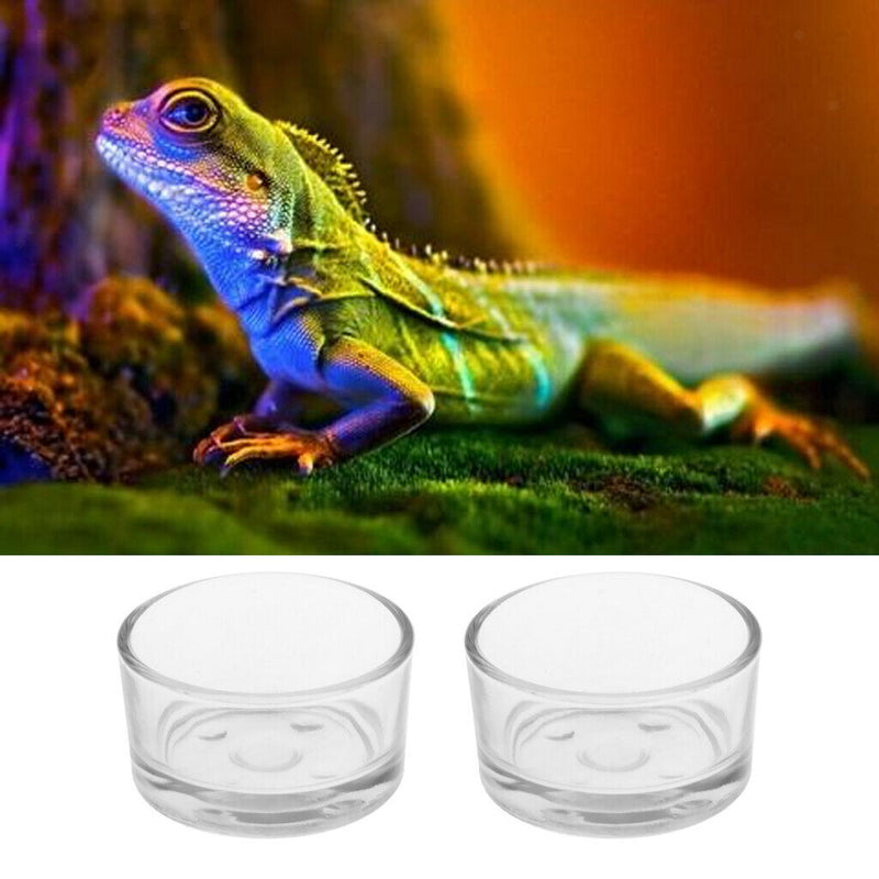 2 pcs Reptile Bowl Food and Water Dish Transparent Basin Also Fit for Bath,